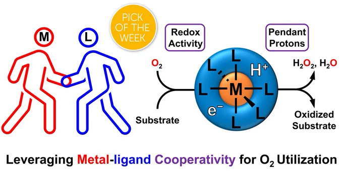 A graphical abstract illustrating a Chemical Science Pick of the Week which is a Perspective type article on leveraging metal-ligand cooperativity for oxygen utilization.
