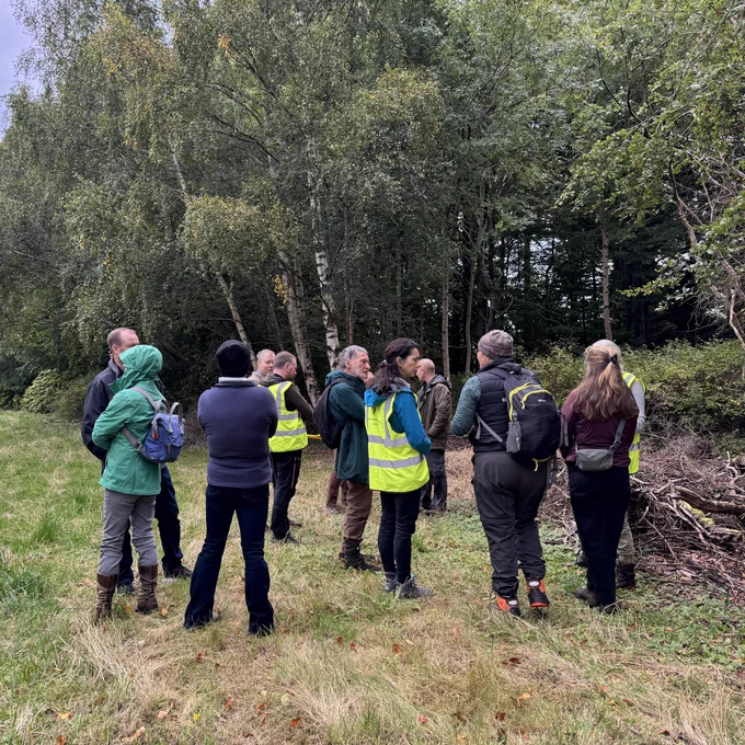 A group of people stand on the grassy verge of a woodland talking amongst themselves.