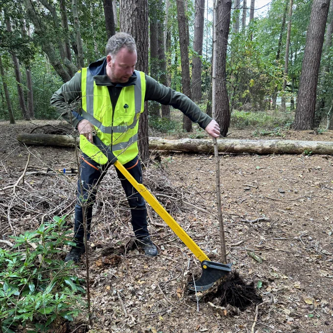 A member of Culduthel Community Woods in a hi-vis vest uses a ‘tree popper’ tool to remove a small tree at its root.