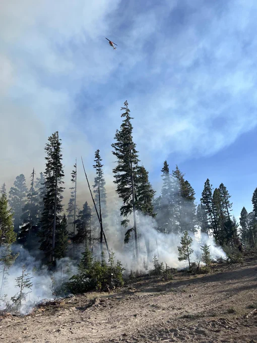 Helicopter supports suppression efforts on Daly Fire in Montana.
