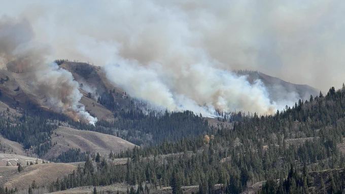 Fire backs down into Trail Creek opposite to the wind direction.
