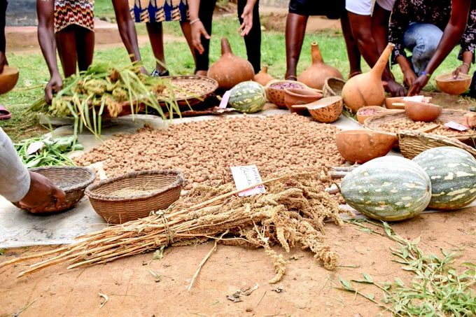 A close-up showing a wide range of crops and seeds. 