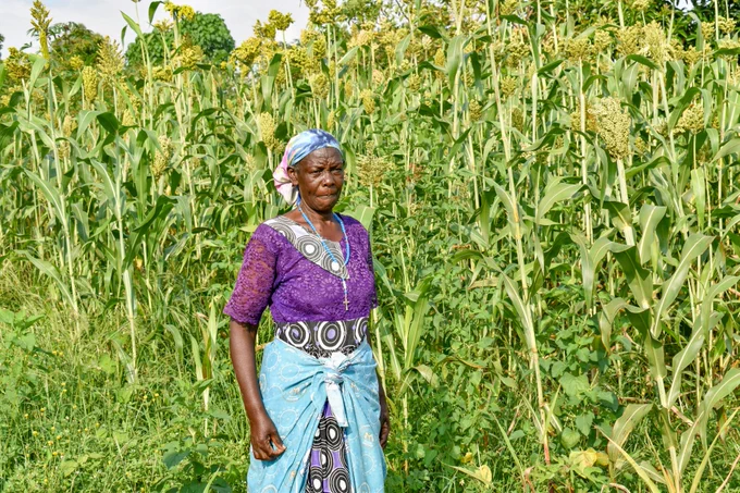 A woman dressed in purple stands in front of tall, green crops. 