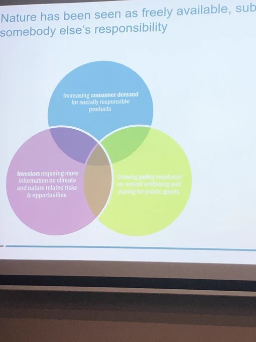 Slide with three overlapping coloured circles with white text