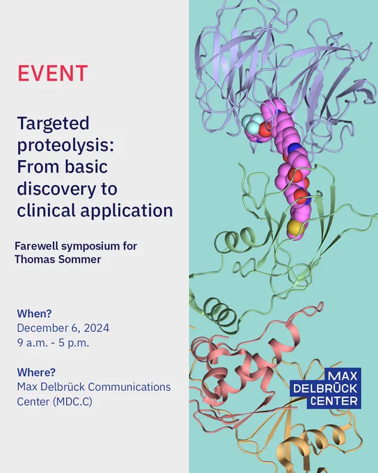 Event template with scientific image on the right side and text on the left side:

Targeted proteolysis: 
From basic discovery to clinical application

Symposium for Thomas Sommer
When: December 6, 2024
9 a.m. - 5 p.m.
Where: Max Delbrück Communications Center (MDC.C)
Axon 1