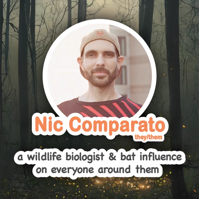 The background is a spooky, foggy forest with fireflies illuminating the leafy floor. In the foreground is a picture of Nic as well as the text “Nic Comparato they/them, a wildlife biologist & bat influence to everyone around them”