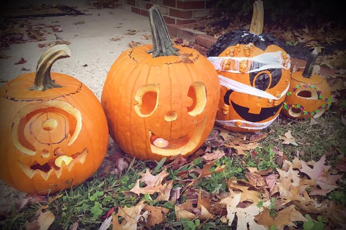 Photo of Halloween pumpkins in the fall.