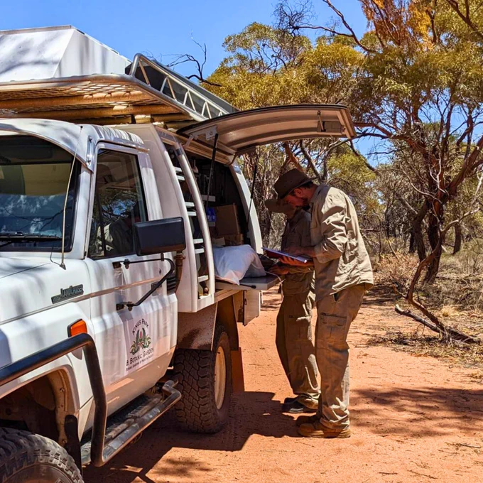 Collectors identifying plants in Wheatbelt (Image: Chelsea Payne).