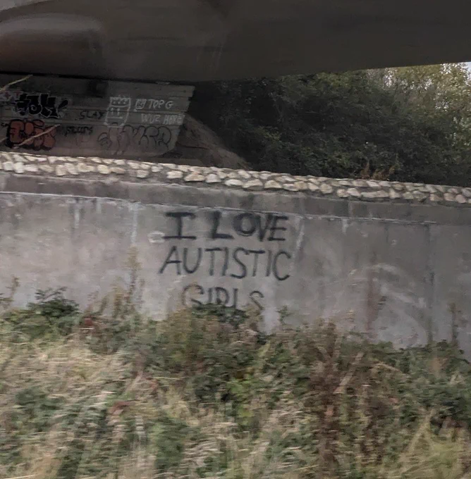 A photo taken from a train of a wall with the words "I LOVE AUTISTIC GIRLS" spray painted on it