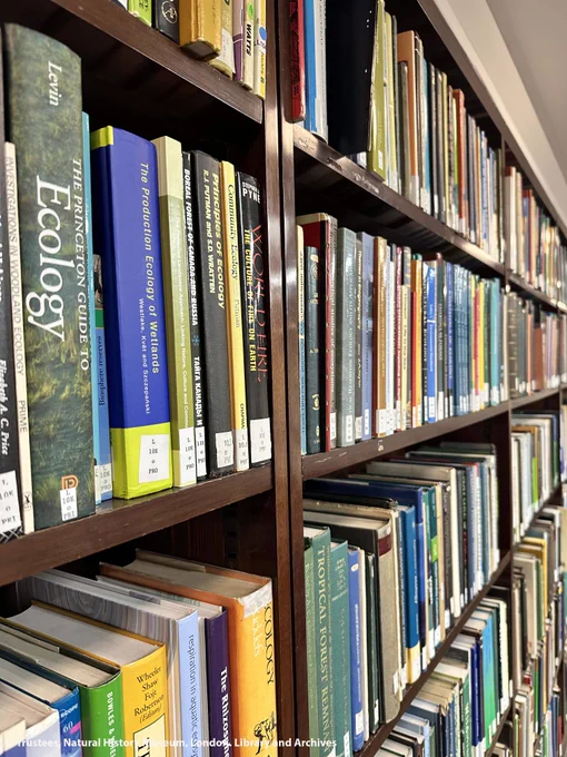 Shelves of modern collection books.