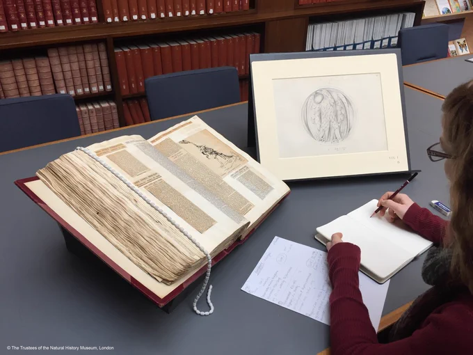 An open book with pasted newspaper clippings and a mounted sketch. A woman sits in front, taking notes.  