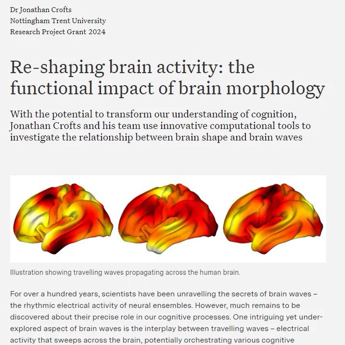 Illustration of three human brains, different sections highlighted in red, orange and yellow, showing the movement of waves.