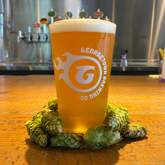 a beautiful pint of beer with the Gtown logo sits on the bar top, seemingly lit from within, surrounded by fresh hop cones.