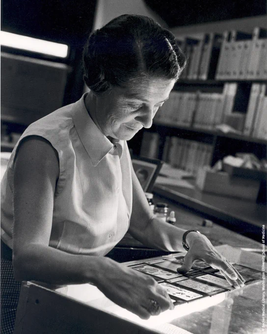 Rita Levi-Montalcini is intently analysing data tables in a workplace setting filled with file cabinets.