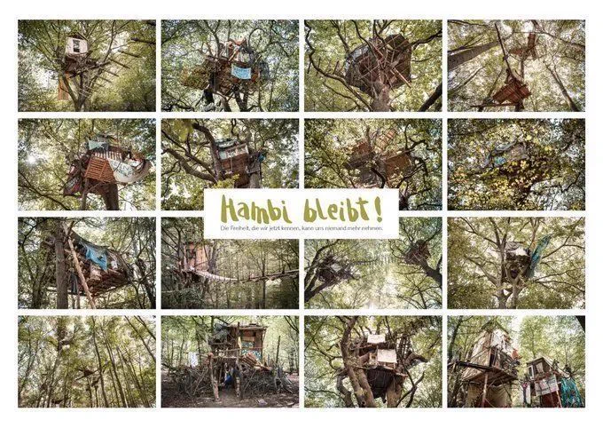Ein Poster aus 16 einzelmden Fotos von Baumhäusern aus dem Hambi.