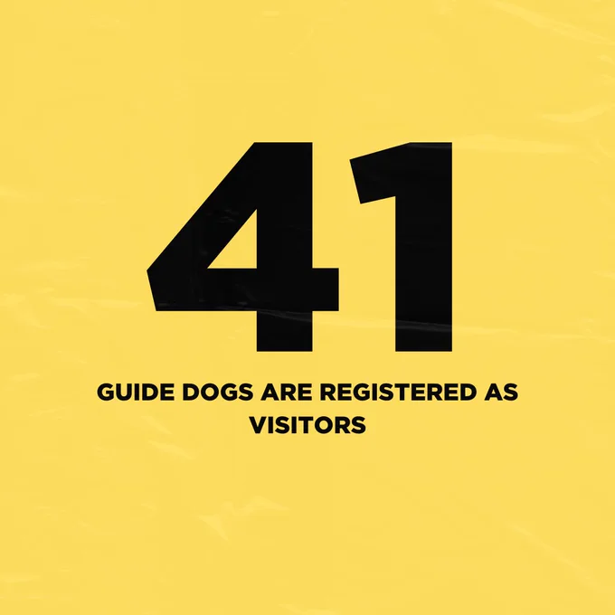 A yellow square with black text which reads: 41 guide dogs are registered as visitors