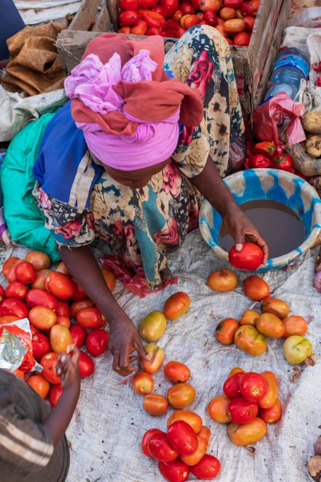 A child picks tomatoes to place into a wooden crate.