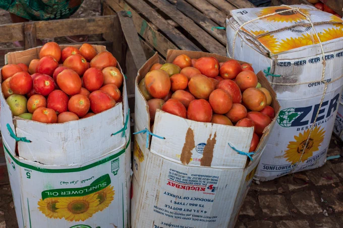 Tomatoes stuff two open cardboard boxes. 