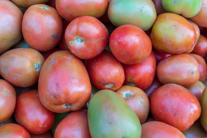 A closeup shot of tomatoes. 