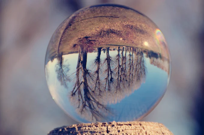 Licence-free Image by Kranich 17 of Pixabay 2024