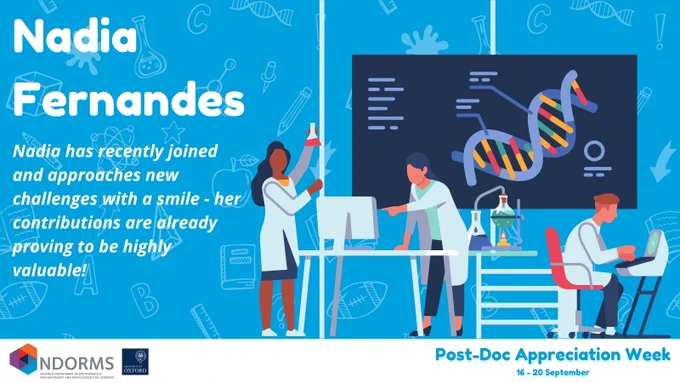 Nadia Fernandes
Nadia has recently joined and approaches new challenges with a smile - her contributions are already proving to be highly valuable