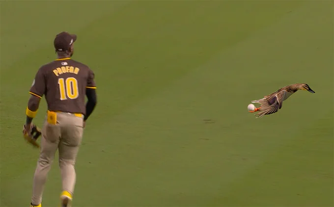 Jurickson Profar watches as a baseball rolls by with a goose grabbing it.