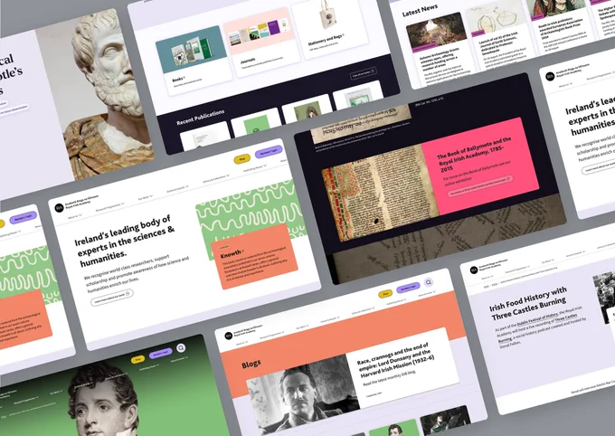 Grid of screen grabs from the Royal Irish Academy website
