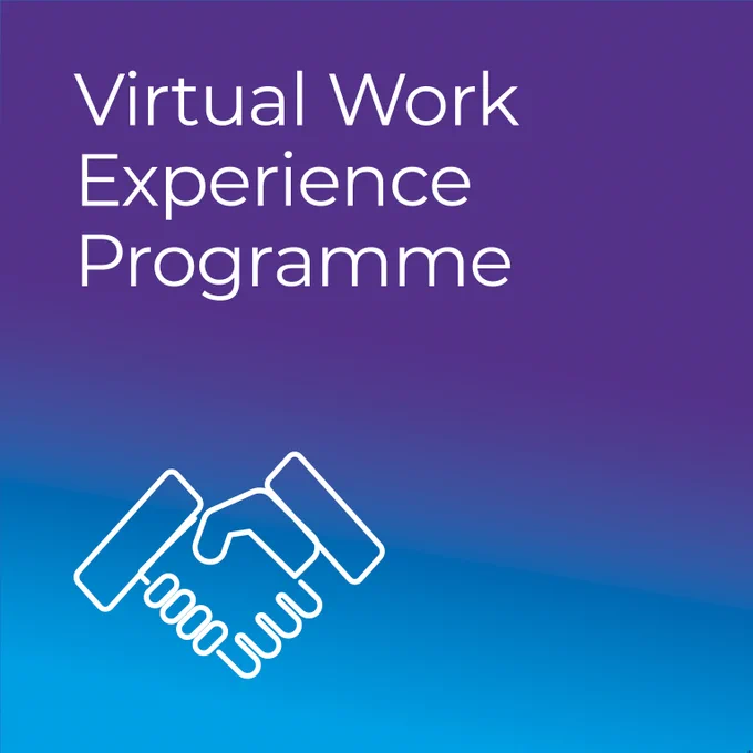 Virtual Work Experience Programme
