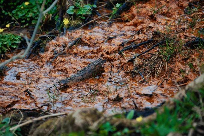 polluted water