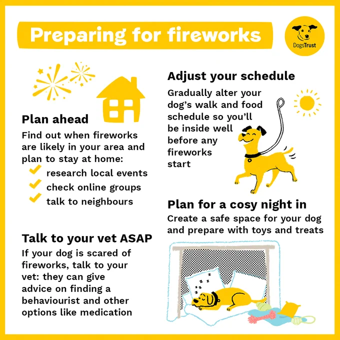 An infographic for dog owners to help prepare their dogs for fireworks. It include advice such as; planning ahead and finding out when local displays are happening, adjusting your schedule so you can walk and feed them before any fireworks start, talk to your vet ASAP so they can offer you advice and plan for a cosy night in with a safe space for your dog.