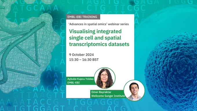 Graphics image showing webinar at EMBL-EBI about Visualising integrated single cell and spatial transcriptomics datasets. The webinar will run on 09 October 2024 at 15:30 BST. The speakers are Omer Bayraktar and Aybuke Kupcu Yoldas. Image credit: Karen Arnott, EMBL-EBI