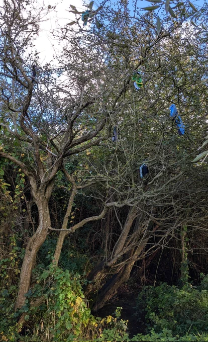 a tree with six pairs of men's pants hanging from the branches 