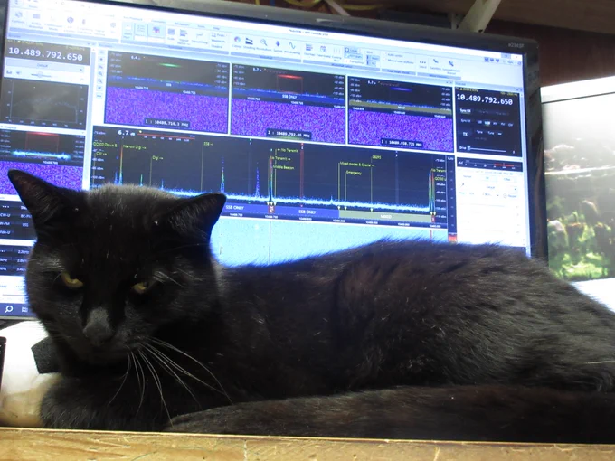 SDR Console cat control time out 