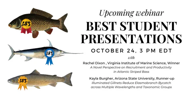 Illustrations of various fish bearing competition rosette ribbons and text reading, "Upcoming webinar - Best Student Presentations. October 24, 3 pm EDT. With Rachel Dixon, Virginia Institute of Marine Science, Winner, A Novel Perspective on Recruitment and Productivity in Atlantic Striped Bass. Kayla Burgher, Arizona State University, Runner-up, Illuminated Gillnets Reduce Elasmobranch Bycatch across Multiple Wavelengths and Taxonomic Groups."