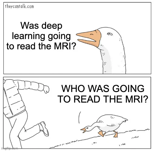 Chasing duck meme, asking "WHO WAS GOING TO READ THE MRI?"