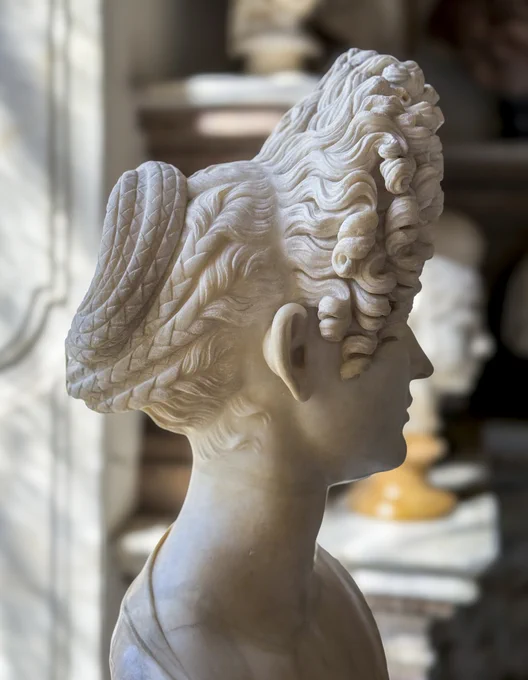 A view from the right side rear of the bust, revealing the construction of her hairstyle (it does not appear to be a wig). Most of the hair from the back half of her head has been turned into multiple braids which are gathered up into a large bun (Roman matrons grew out their hair their entire lives, in order to achieve the necessary volume for these hairstyles). The front half of her hair has been combed forward and crimped into several rows of curls, achieving the shield-like effect from the front.