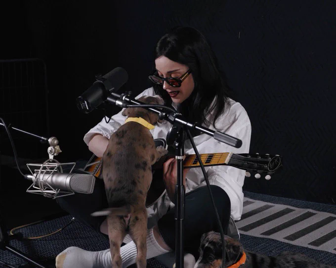 the artist St. Vincent sits criss-cross applesauce on the floor. she's wearing a white button up shirt, black pants, tall white socks, and orange lensed glasses. she's holding a guitar in her lap, and a brown puppy with black spots and a yellow collar stands on their hind legs uses the guitar as a front paw rest to get closer to the singer's face.