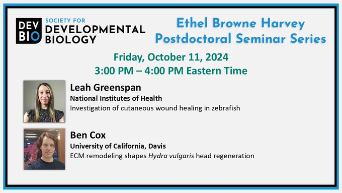 Society for Developmental Biology Ethel Browne Harvey Postdoctoral Seminar Series
Friday, October 11, 2024, 3:00pm - 4:00 pm Eastern Time
Leah Greenspan (National Institutes of Health)
Investigation of cutaneous wound healing in zebrafish
Ben Cox (University of California, Davis)
ECM remodeling shapes Hydra vulgaris head regeneration