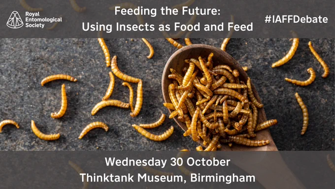 Insects as Food and Feed debate at ThinkTank Museum, Birmingham, Wednesday 30 October