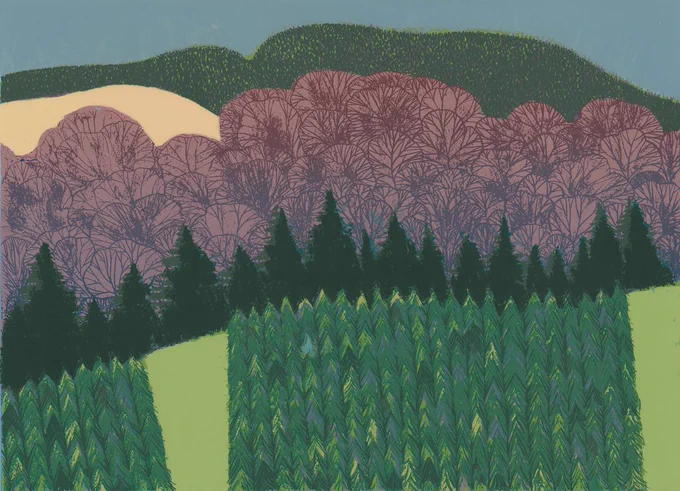 Layers of conical tree shapes in a dense forest plantation, including sloping fire-break pathways. The tiny green spruce trees are crowded together in the foreground with a single line of dark green taller trees behind. Purple trees in a more rounded form create the next background layer in front of the cream and green/grey hills beyond.