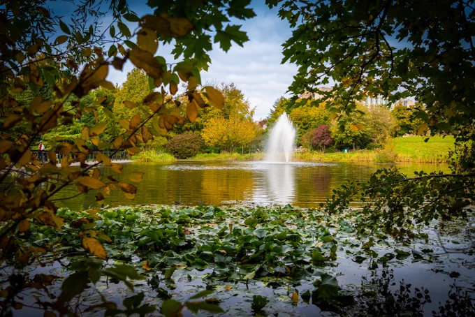 This is a picture of the campus lake.