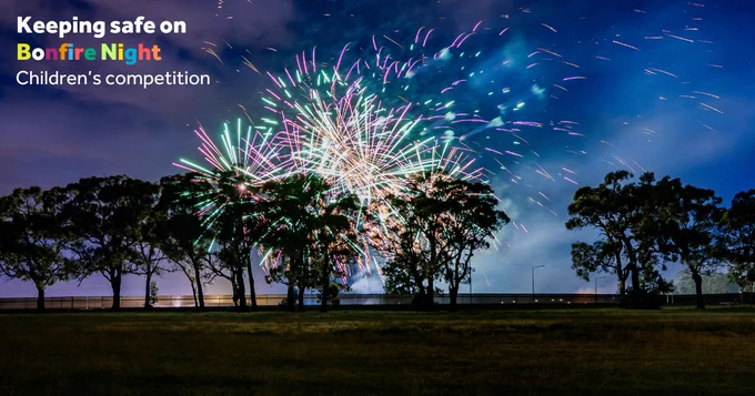 Keeping safe on Bonfire Night: a large field in darkness with trees in the distance lit up with fireworks in the sky.