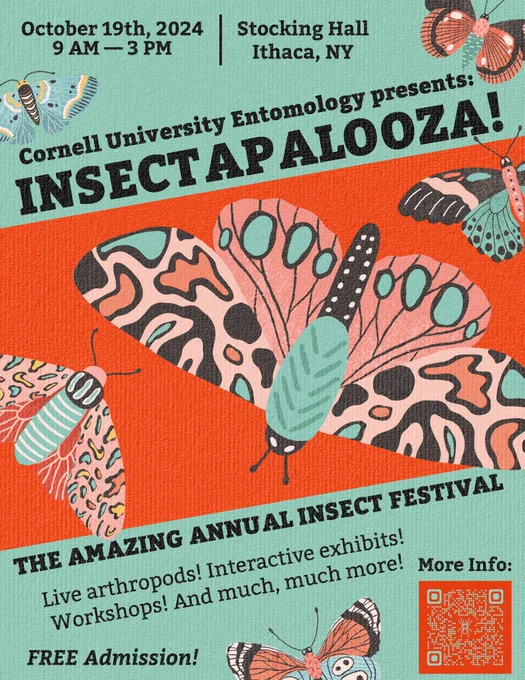 Insectapalooza free event flyer