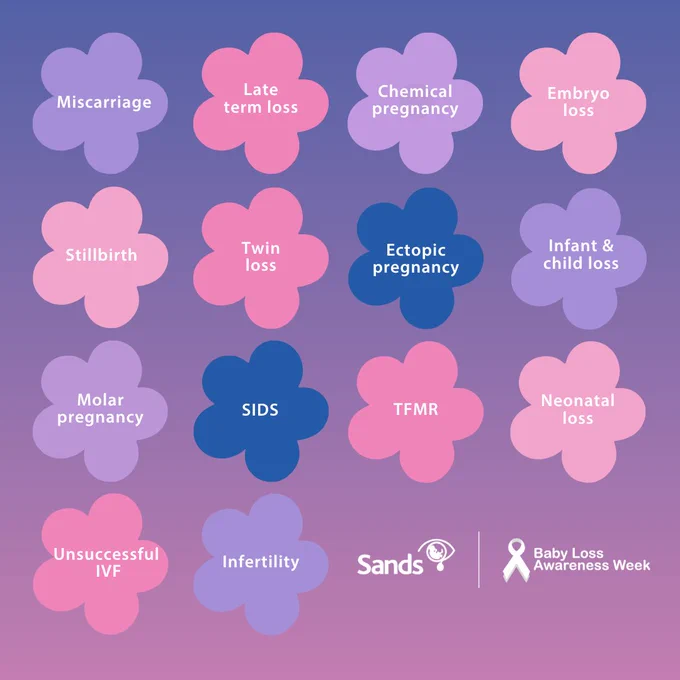 Illustrated image of flowers where each blossom represents a type of baby loss. Late term loss, Stillbirth, Ectopic, Chemical Pregnancy, Embryo loss, TFMR, Infant/child loss, SIDS, Neonatal Loss, Molar Pregnancy, Miscarriage, Twin loss, Infertility, Unsuccessful IVF