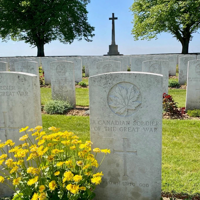 White tombstones in a cemetery. Yellow flowers are at the fore-front, next to a tombstone. In the back, there are two trees and a monument with a cross in the middle.