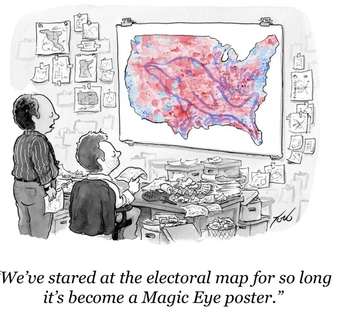 Cartoon depicting two men surrounded by papers suggesting a political campaign office looking at a map of the US colored blue and red throughout, with an image of a dolphin popping out over the differently colored voting districts. The caption under the cartoon says "We've stared at the electoral map for so long it's become a Magic Eye poster."