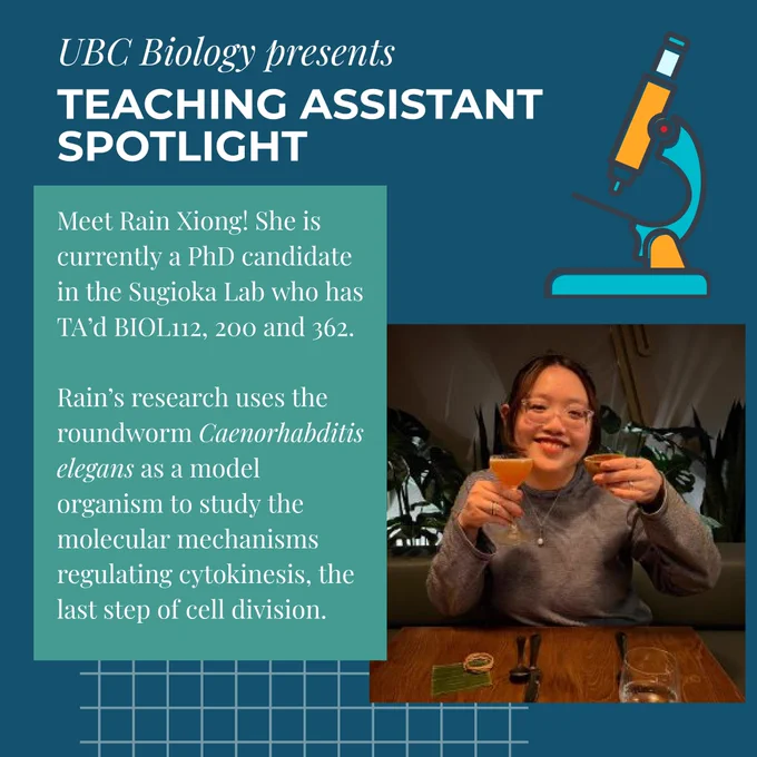 Meet Rain Xiong! She is currently a PhD candidate in the Sugioka Lab who has TA’d BIOL112, 200 and 362.


Rain’s research uses the roundworm Caenorhabditis elegans as a model organism to study the molecular mechanisms regulating cytokinesis, the last step of cell division.

