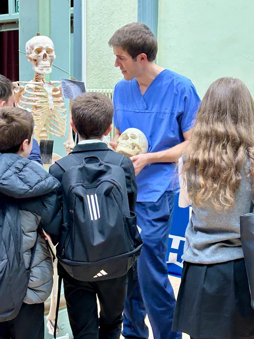 A member of staff holding a plastic skull while speaking to three students.
