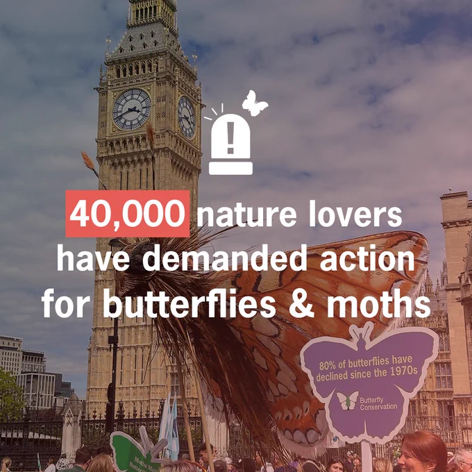 Crowd holding up a giant Marsh Fritillary puppet and colourful butterfly-shaped signs in Parliament Square. Text overlay reads: "40,000 nature lovers have demanded action for butterflies and moths" with alarm and butterfly graphic above the text.