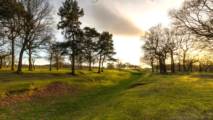 Large ditch running between trees
